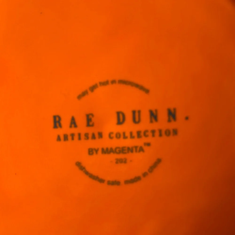 Rae Dunn Boo cat pet bowl